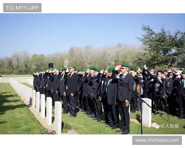 饥饿游戏:12个关于牺牲的残酷教训,你学到了吗? 饥饿游戏:12个关于牺牲的残酷教训,你学到了吗?