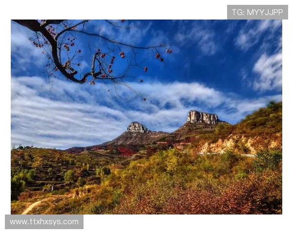 当英灵与人类的羁绊，编织成命运的宏大交响——《命运长夜前传》的无限魅力