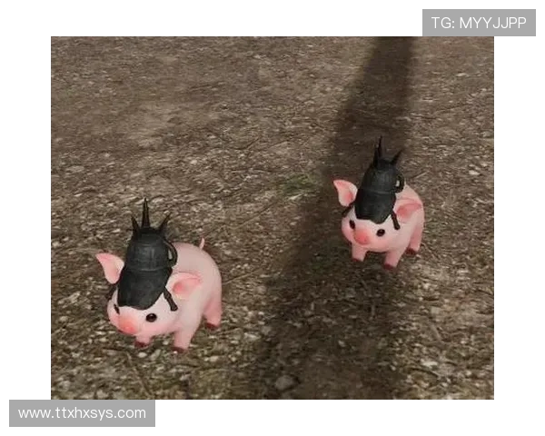 猪女：不止于可爱，她们是生命的奇迹